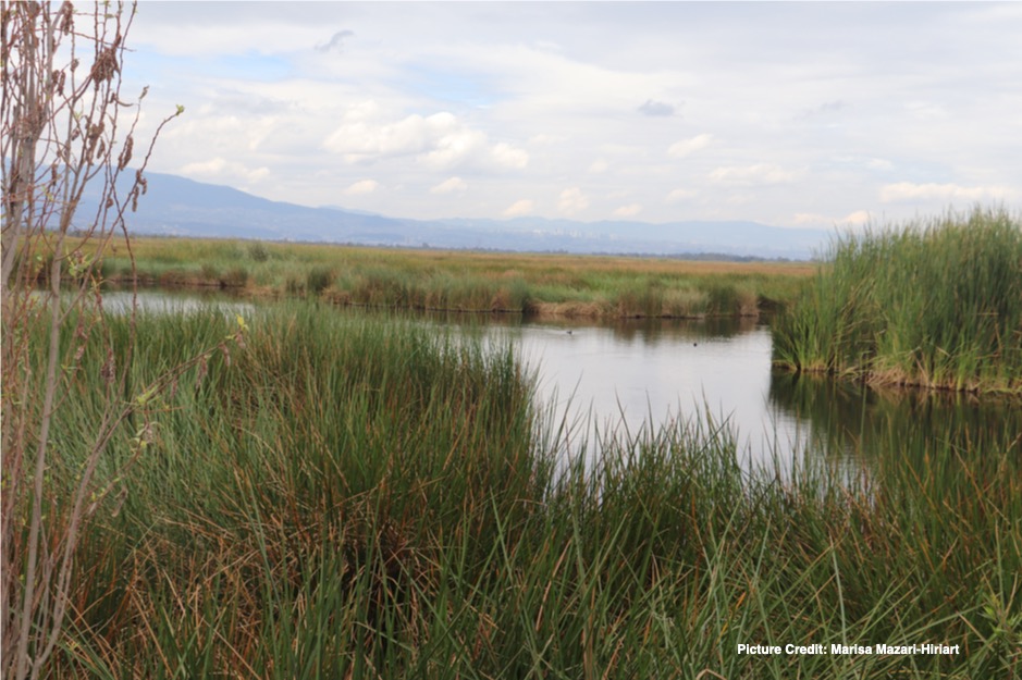 From paper to practice: are public policies enabling transformative change? Reflections from the Xochimilco wetland