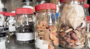 Sowing transformative change from the vestiges of a peri-urban  wetland in Mexico City 