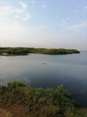 Using ‘T-Labs’ to find  transformative pathways to equitable and sustainable utilisation of Kenya’s Yala and Kingwal wetlands 